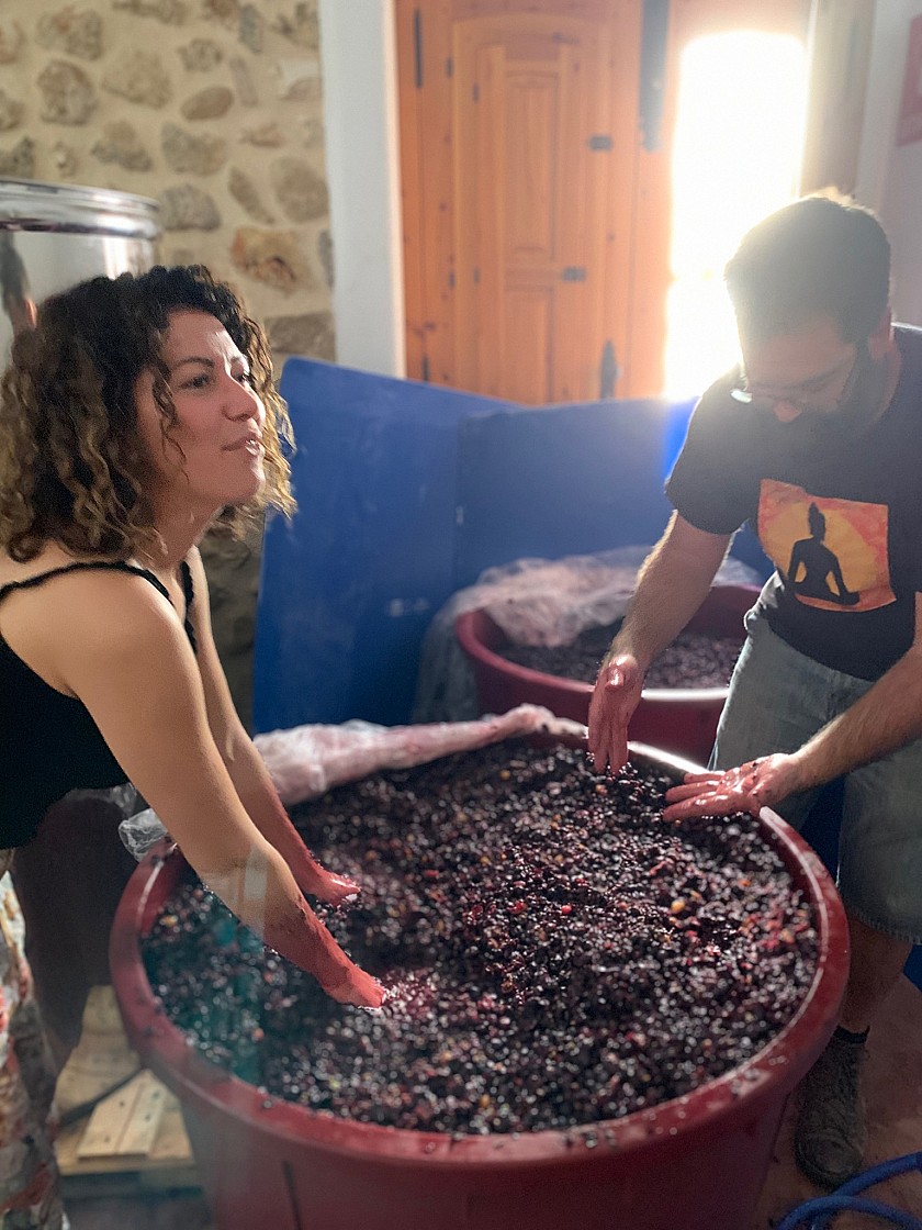 5 bodegas con alma en la Marina Alta que no te puedes perder